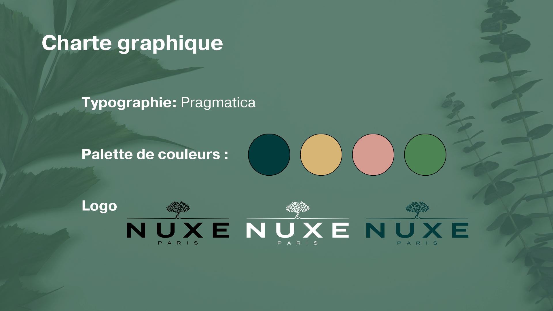 Charte graphique Nuxe